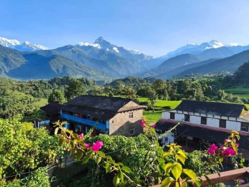 Pokhara: 5 Himalayan Viewpoints Guided Tour - Exploring the Himalayas from Pokhara: A detailed look at the 5 Viewpoints Guided Tour