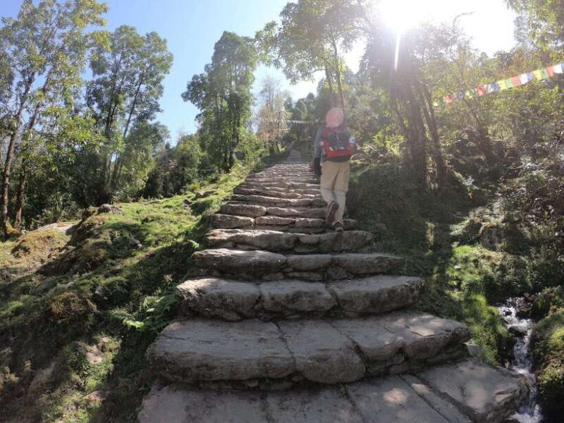 Pokhara: 7-Day Annapurna Base Camp & Jhinu Hot Springs Trek - Authentic Culture and Local Life