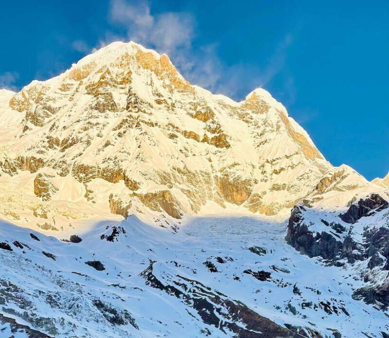 Pokhara: 7 Day Annapurna Base Camp Trek with Wildlife Tour - Exploring the Trek: What to Expect on Your Himalayan Journey