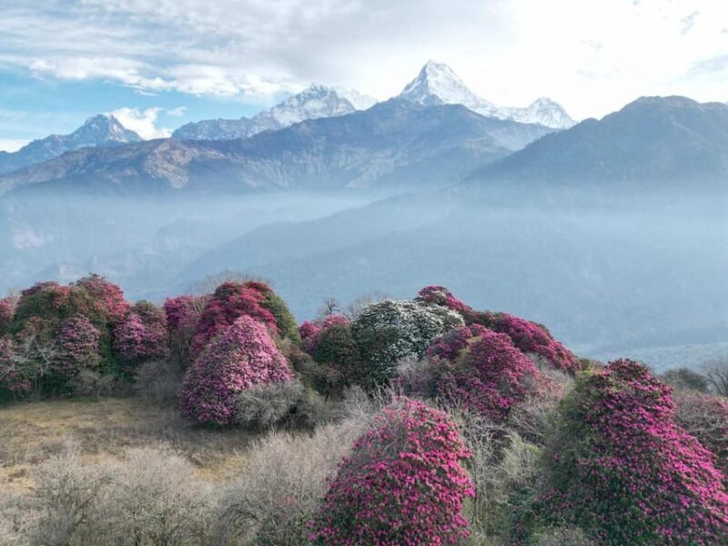 Pokhara: 7-Day Annapurna Base Camp Via PoonHill & Hot Spring - Final Thoughts: Who Should Consider This Trek?