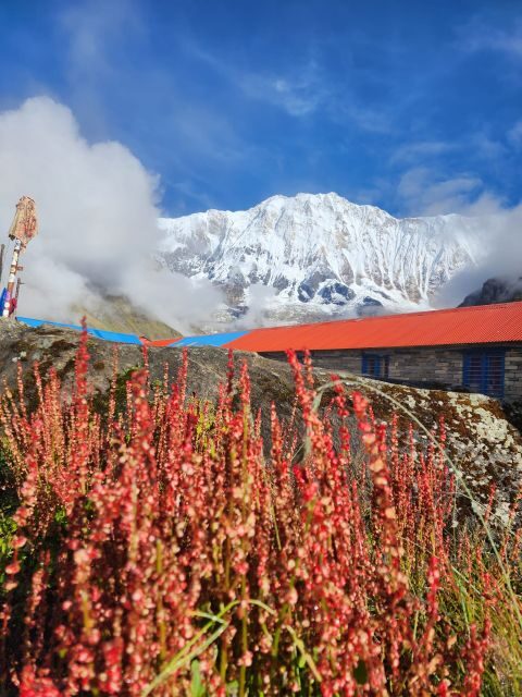 Pokhara: 9-Day Annapurna Base Camp Trek with Poon Hill - Who Should Consider This Trek?