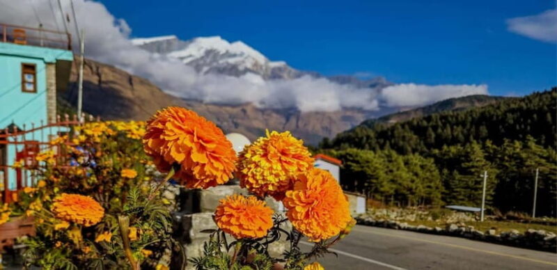 Pokhara: Amazing Day Hiking, Boating /Sunrise view tour - FAQ