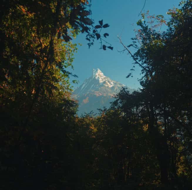 Pokhara: Annapurna Base Camp Trek with Meals and Guide-Nepal - A Deep Dive into the Annapurna Base Camp Trek Experience