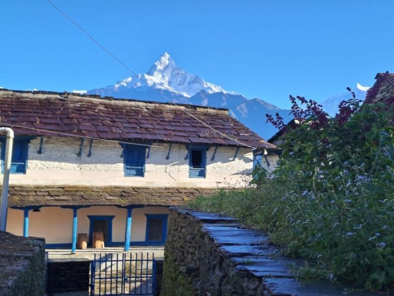 Pokhara: Australian Camp & Dhampus Village Group Join Hike - Key Points