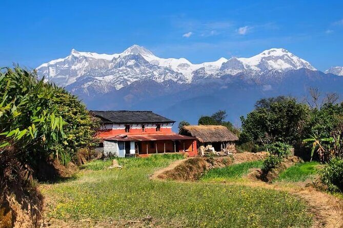 Pokhara: Day Hike at Annapurna Mountain Foothills - In-Depth Review of the Annapurna Foothills Day Hike