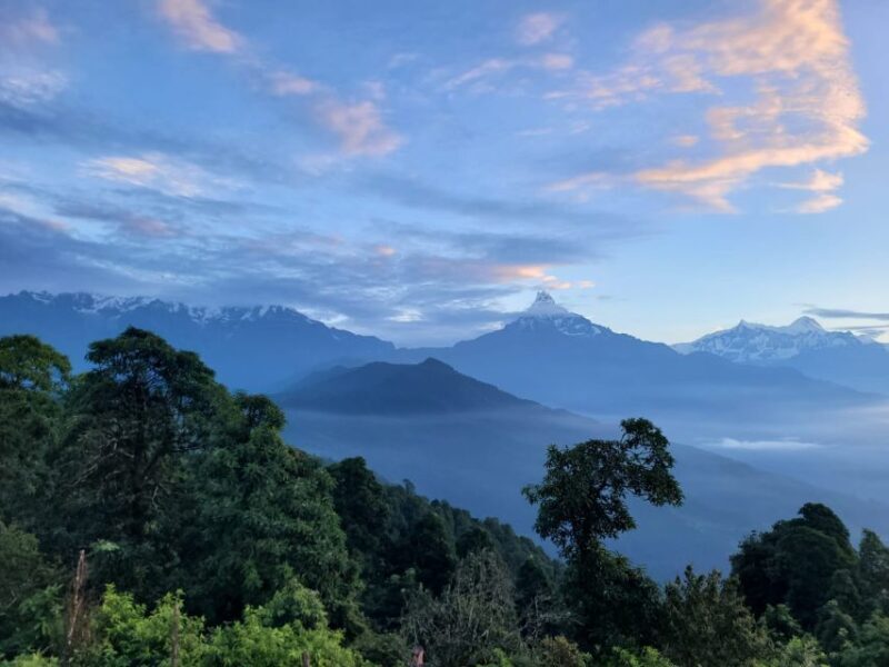 Pokhara: Day Hike to Australian Camp and Dhampus Village - What Travelers Say and Why It Matters