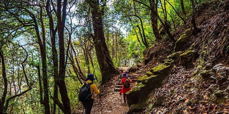 Pokhara: Day Hike to Australian Camp - Starting from Pokhara: Easy and Scenic Transportation