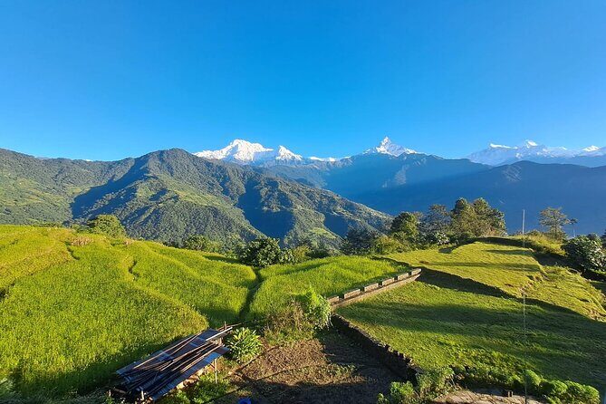 Pokhara: Easy Day Hike to Australian Camp & Dhampus Village - Authenticity and Value