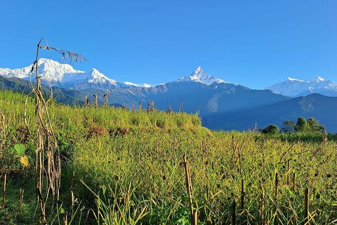Pokhara: Easy Day Hike to Australian Camp & Dhampus Village - Who Should Consider This Tour?
