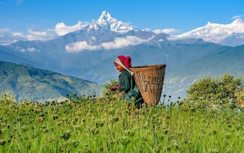 Pokhara : Easy Dhampus & Astam Village Day Hike - Key Points