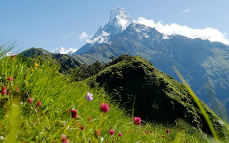 Pokhara: Mardi Himal Base Camp Helicopter Tour - A Closer Look at the Mardi Himal Helicopter Experience