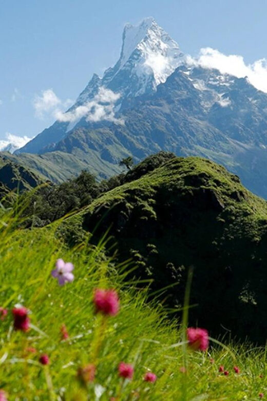 Pokhara: Mardi Himal Base Camp Helicopter Tour - FAQ