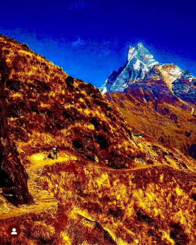 Pokhara: Mardi Himal Trek with 1 Night in a Forest Camp - Why This Trek Is Special