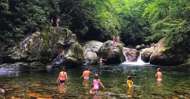 Pokhara: Natural Himalayan River Swim Experience Package - Exploring the Itinerary in Detail