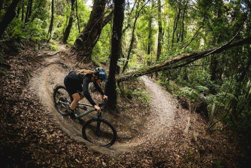Pokhara: Peace Pagoda to Pokhara Downhill Mountain Bike Ride - The Experience in Detail