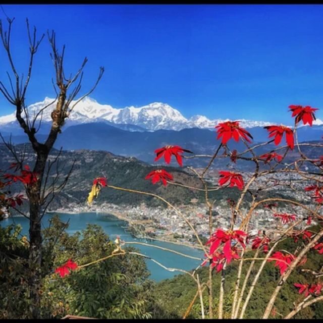 Pokhara: Pokhara Highlights Tour by Bus - What to Expect and Practical Tips