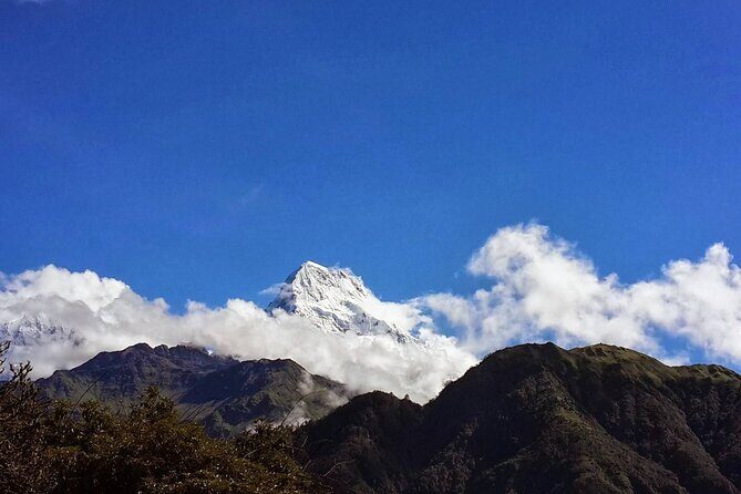 Pokhara: Poon Hill Ghorepani Short Trek - An In-Depth Look at the Poon Hill Ghorepani Trek Experience