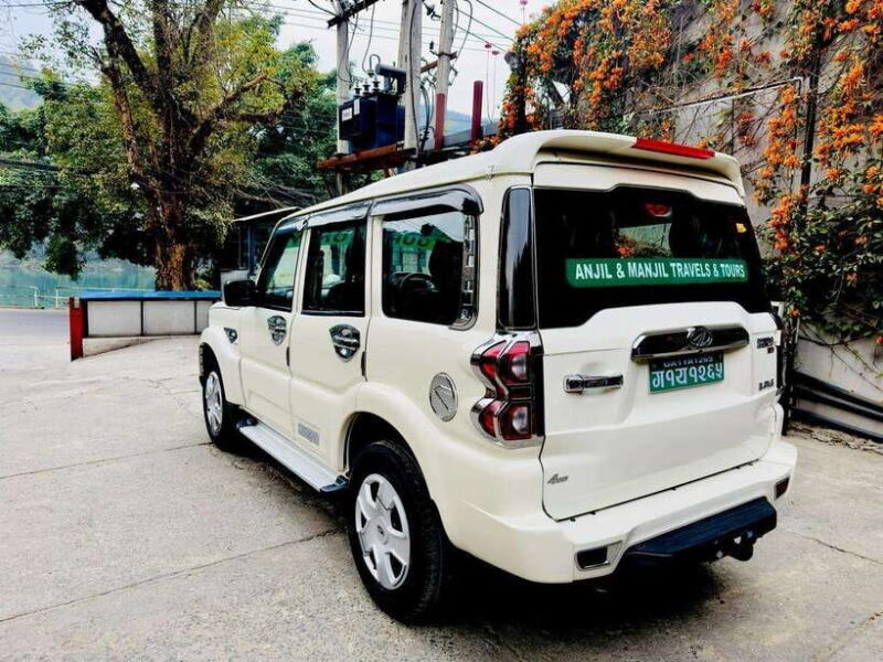 "Pokhara Pumdikot Tour: Eagle Eye Views of Stunning Pokhara" - Key Points