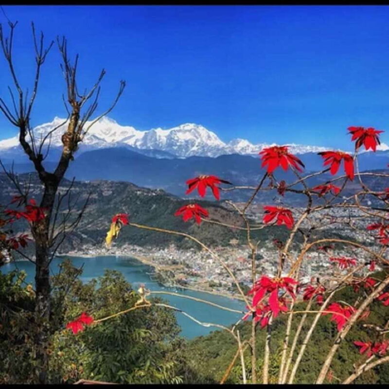 Pokhara: Sarangkot Sunrise And Private Full-Day Tour - Key Points