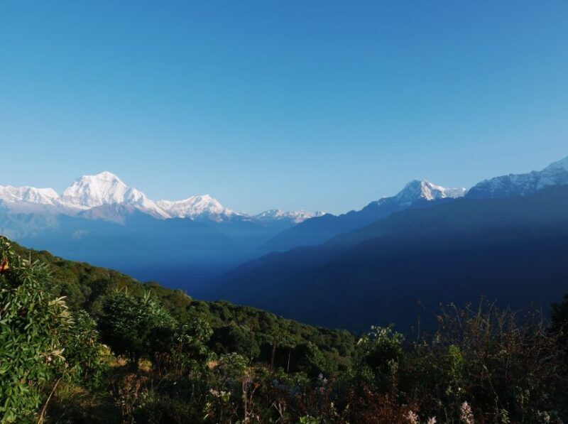 Pokhara:4-Day Ghorepani Poon Hill Guided Trek via Ghandruk - What Makes This Trek Stand Out?