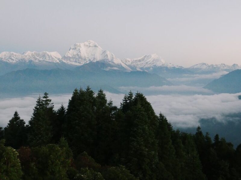 Pokhara:4-Day Ghorepani Poon Hill Guided Trek via Ghandruk - Challenges and Considerations