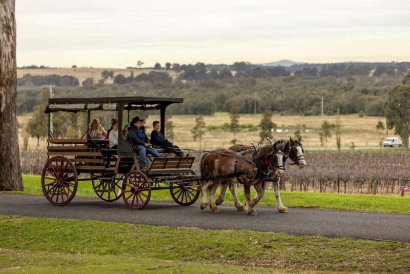 Pokolbin: Harvest the Hunter Horse Drawn Carriage Tour 3hrs - Key Points
