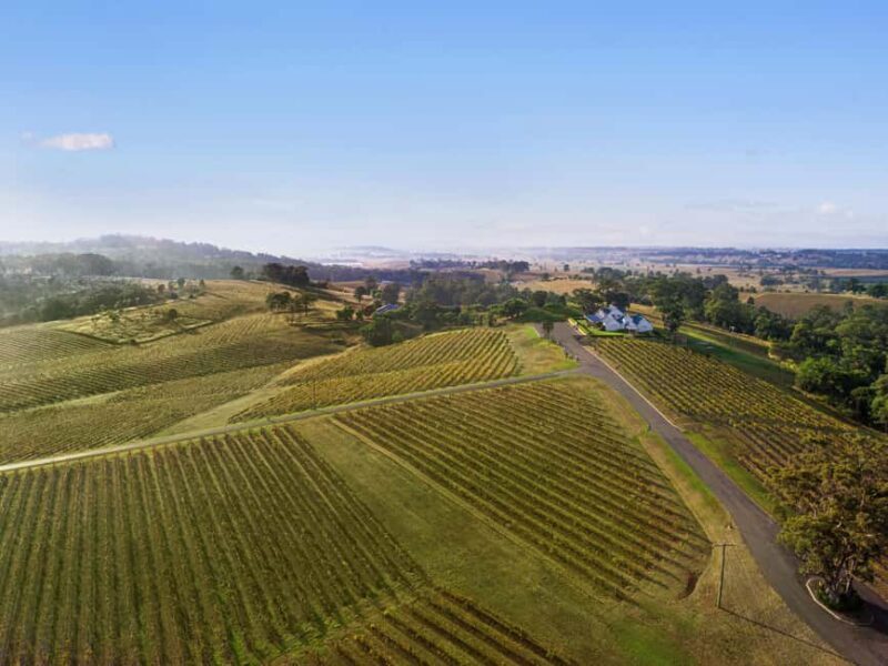 Pokolbin: Picnic & Wine Tasting at Audrey Wilkinson Vineyard - Pokolbin: Picnic & Wine Tasting at Audrey Wilkinson Vineyard