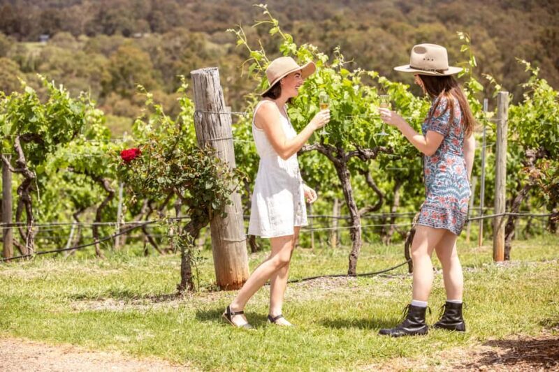 Pokolbin: Picnic & Wine Tasting at Audrey Wilkinson Vineyard - Who Will Love This Tour?