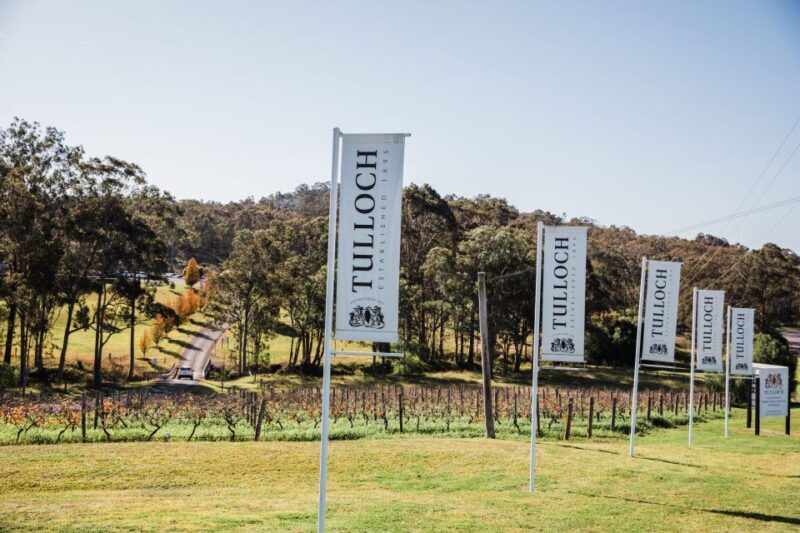 Pokolbin: Tulloch Hunter Heroes Wine Tasting & Cheese Board - Final Thoughts