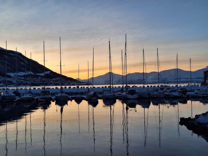 POLARIA AND FAMILY FRIENDLY CITY WALK - Exploring Tromsø’s Arctic Heart: A Detailed Look