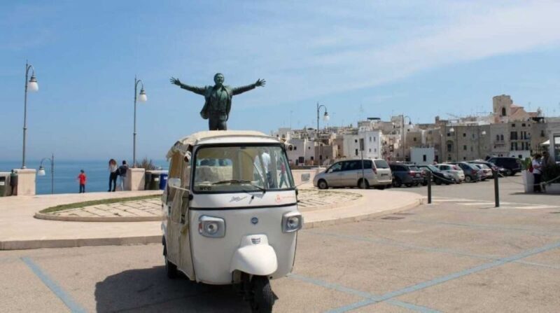 Polignano a Mare: Tuk-Tuk Tour Along the Coast - Why This Tour Offers Great Value