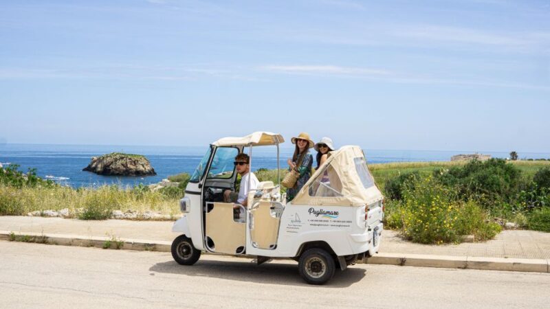 Polignano a Mare: Tuk-Tuk Tour Along the Coast - Final Thoughts: Who Should Book This Tour?