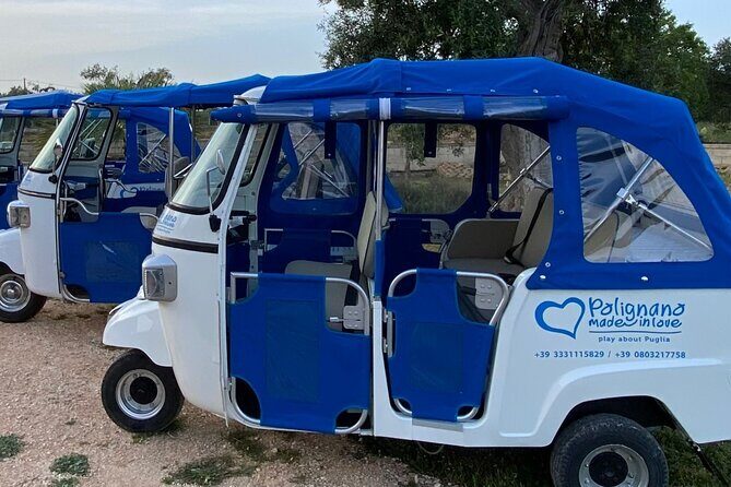 Polignano a Mare: Vintage Private Tour in TukTuk - What Travelers Say