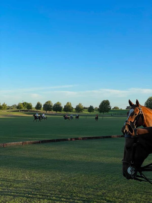 Polo day - barbecue and wine experience at Pompeya Polo - Ascochinga-Córdoba - Final Thoughts