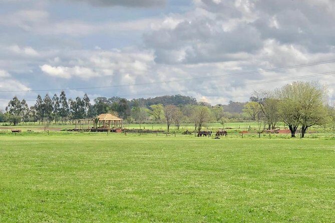 Polo day in Pilar, Buenos Aires - Authenticity and Value