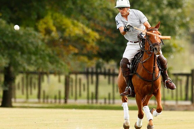 Polo Lessons from Buenos Aires by Polo Elite - A Deep Dive into a Unique Argentine Adventure