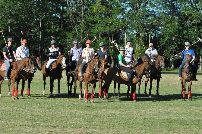 Polo Lessons from Buenos Aires by Polo Elite - Authentic Experiences and What Youll Take Home