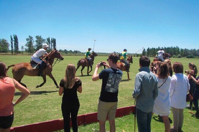 Polo Match, BBQ and Lesson Day-Trip from Buenos Aires - Key Points