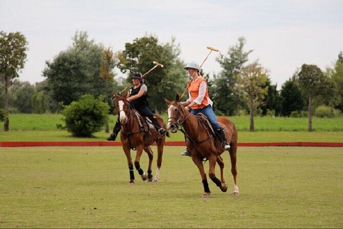 Polo Match, BBQ and Lesson Day-Trip from Buenos Aires - The Experience in Detail: What You Can Expect