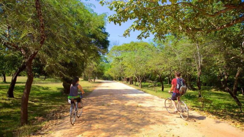 Polonnaruwa: All Inclusive Ancient City Guided Cycling Tour - Why This Tour Stands Out