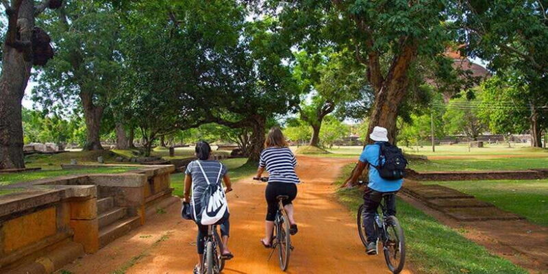 Polonnaruwa: All Inclusive Ancient City Guided Cycling Tour - Who Should Consider This Tour?