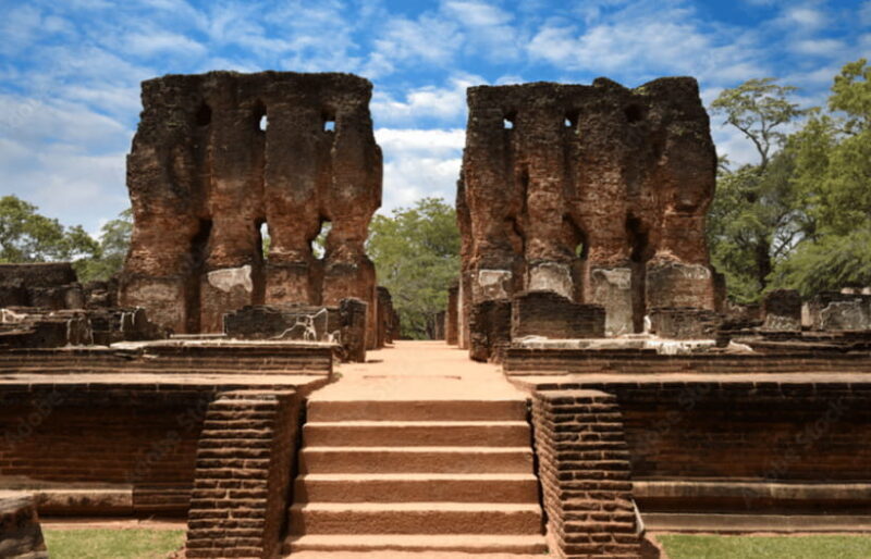 Polonnaruwa Ancient City and Wildlife Safari from Dambulla - Key Points