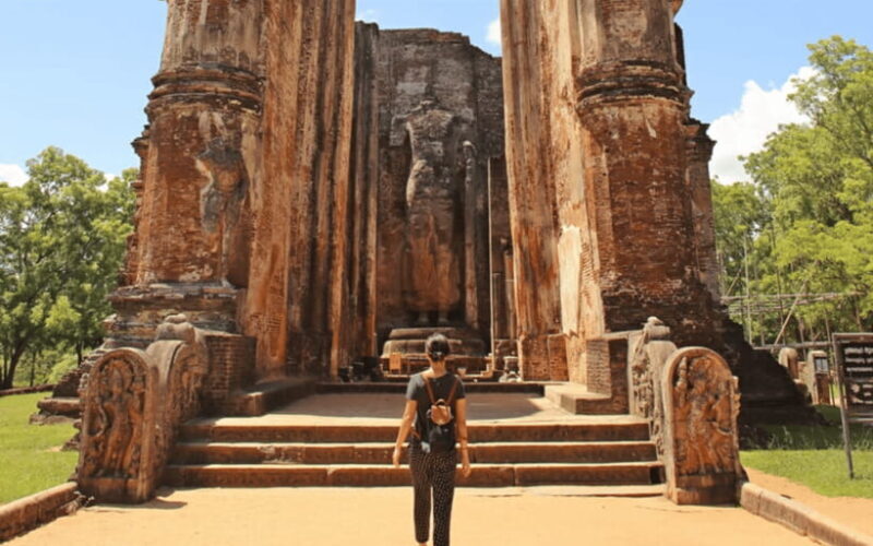 Polonnaruwa Ancient City and Wildlife Safari from Dambulla - Wildlife Safari at Minneriya: Up Close with Elephants
