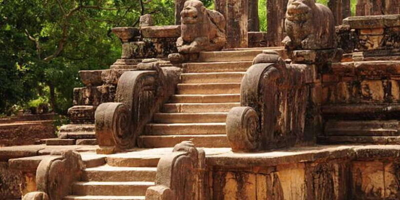 Polonnaruwa Day Tour With Minneriya NP Elephant Safari - Key Points