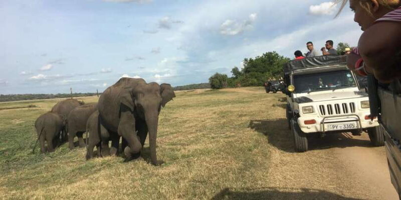 Polonnaruwa Sight Seeing Tour and Minneriya Elephant Safari - Frequently Asked Questions