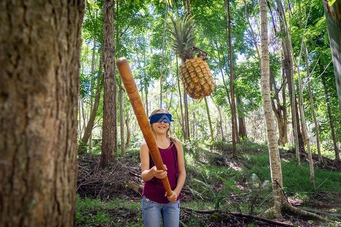 Polynesian Cultural ATV Tour - Key Points