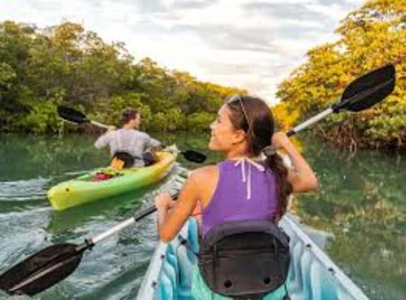 Pompano Beach: Kayak Rental - Exploring Pompano Beach by Kayak: What to Expect