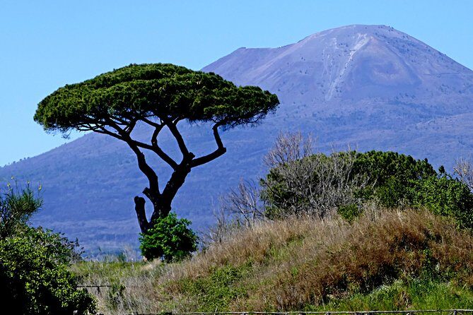 POMPEI Half Day TOUR - Departure from NAPLES Centre (TICKET INCLUDED) - A Few Considerations