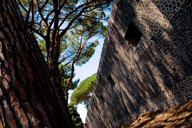 POMPEI Half Day TOUR - Departure from NAPLES Centre (TICKET INCLUDED) - Who Should Book This Tour?