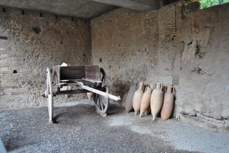 POMPEI SMALL GROUP MASSIMO 8 PERSONE - Authenticity and Experience